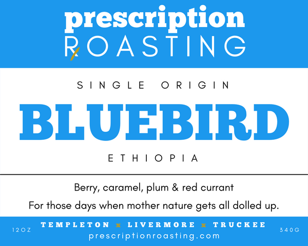 Bluebird - Ethiopia